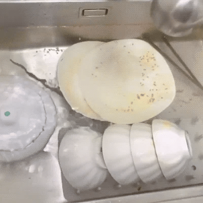 WhirlMini Lavado Fácil