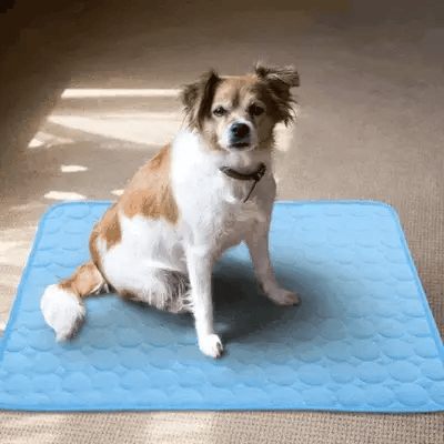 Alfombra Fría para Mascotas Chillz